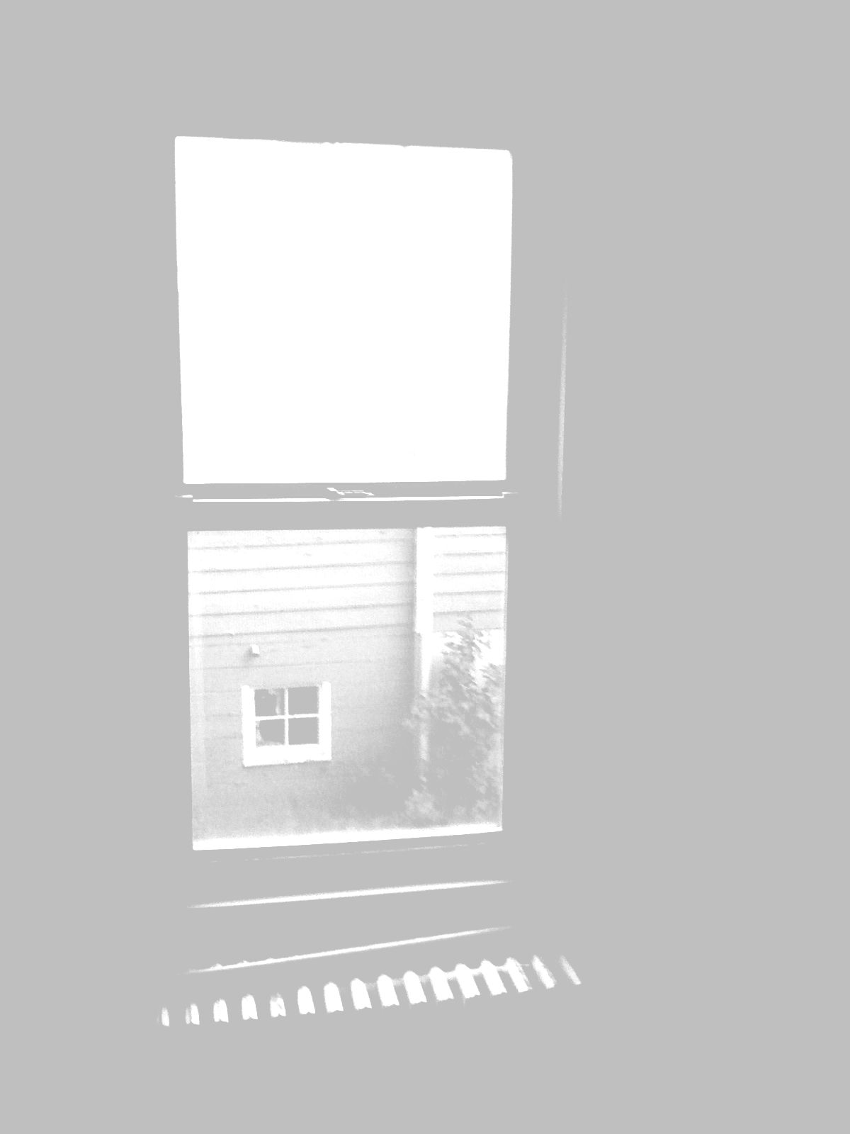 Scenes From My New House:  2 Window, House Next Door